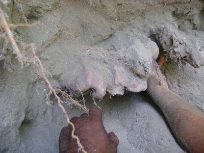 20131205232119-dsc05281