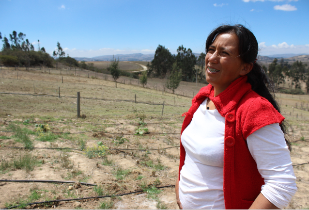 Captura de pantalla 2016 03 04 a las 3.14.24 a