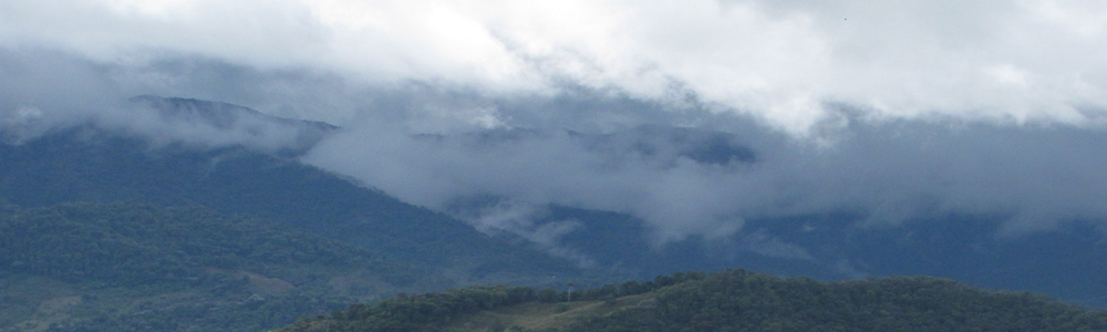 vientos de comunicacion